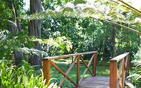 Andelomi Nature'S Rest